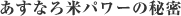 Ȃăp[̔閧