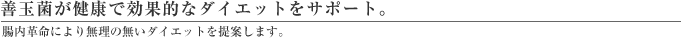 PʋۂNŌʓIȃ_CGbgT|[gB
