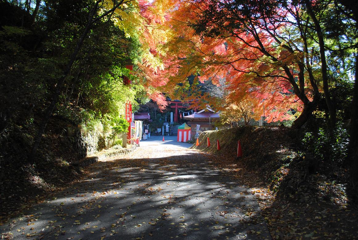 鷲子山上神社�