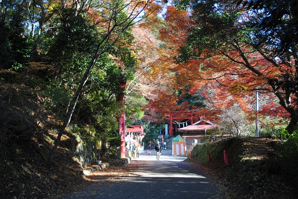 鷲子山上神社�