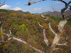 上山ハイキングコース（５）