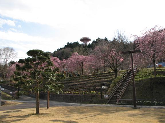 4.14䤹餮Τୡ